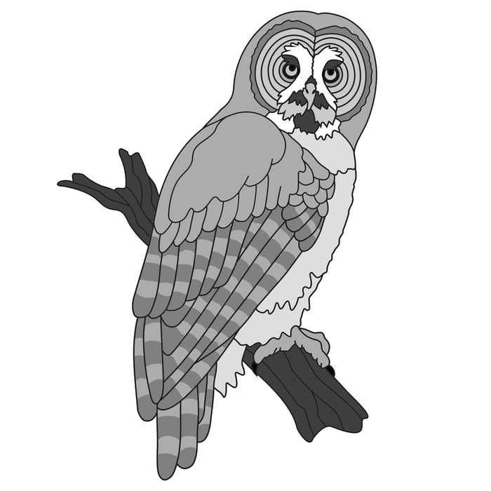 Great Grey Owl