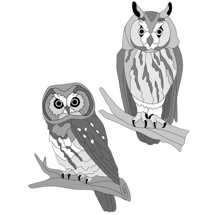 Boreal and Long-eared Owls