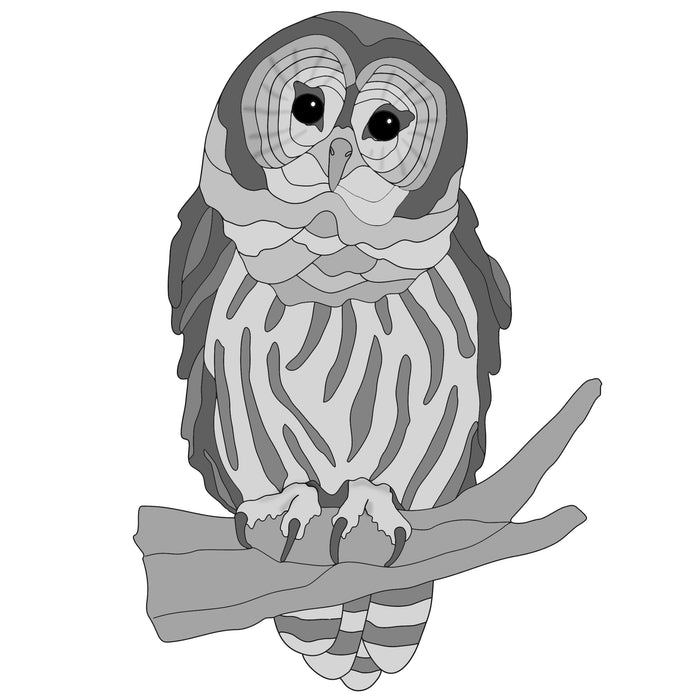 Barred Owl
