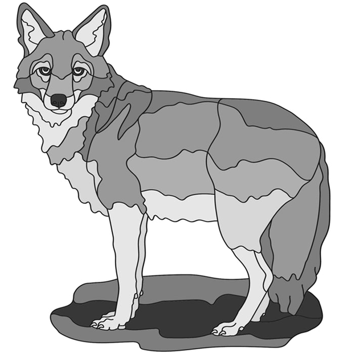 Coyote standing