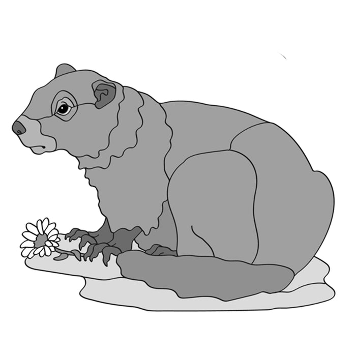 Woodchuck