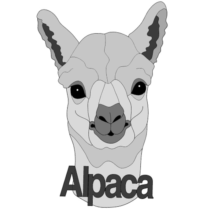 Alpaca Head