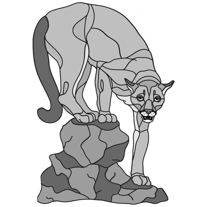Mountain Lion
