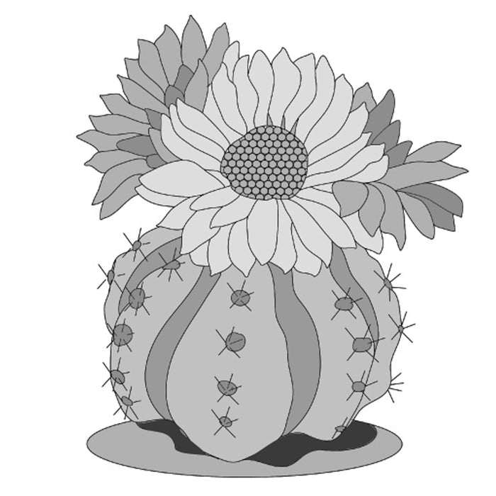 Ball Cactus