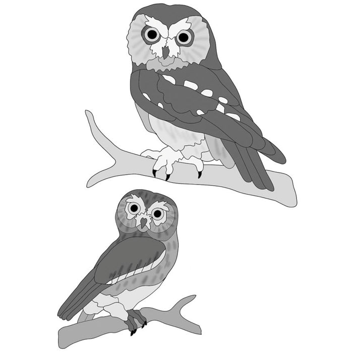 Elf and Saw-whet Owl