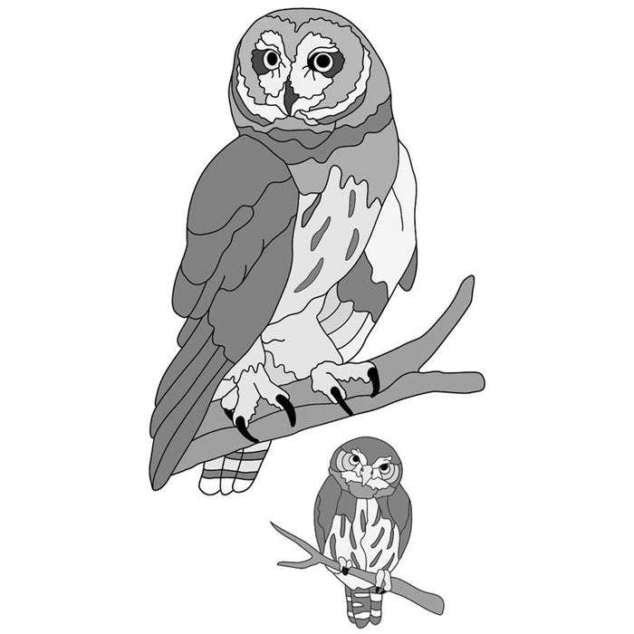 Pygmy and Short-eared Owls