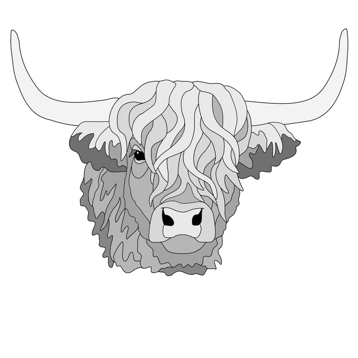 Scottish Highland Bull