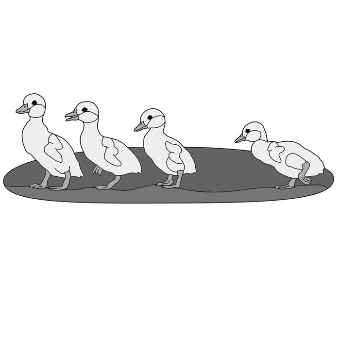 Ducklings in a Row