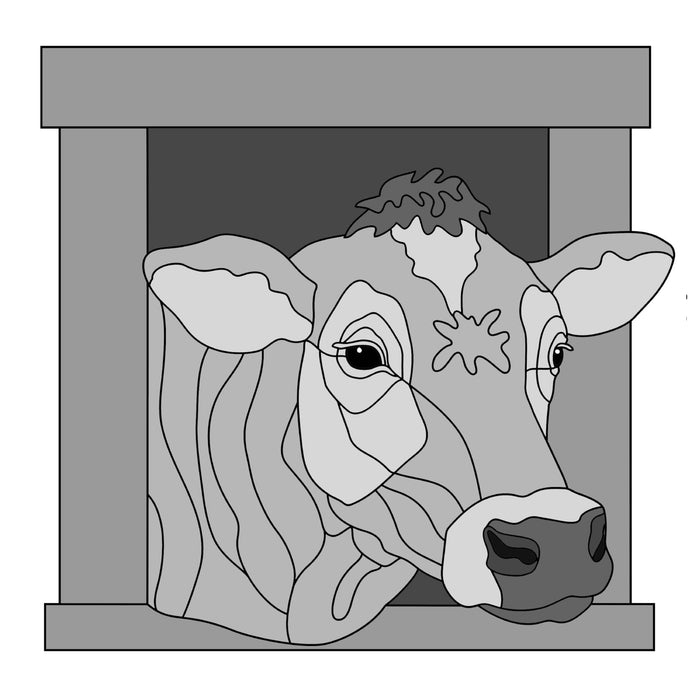 Jersey Cow
