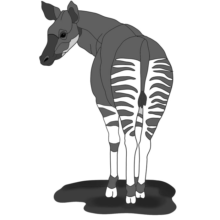 Okapi 2
