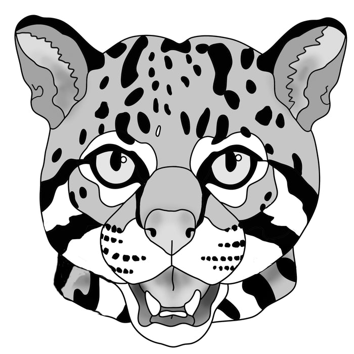 Ocelot head