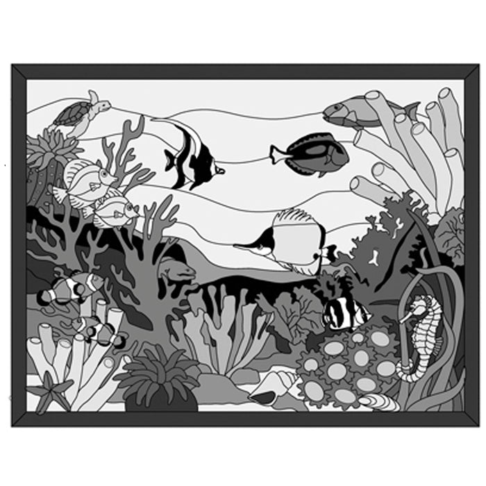 Coral Reef Expert