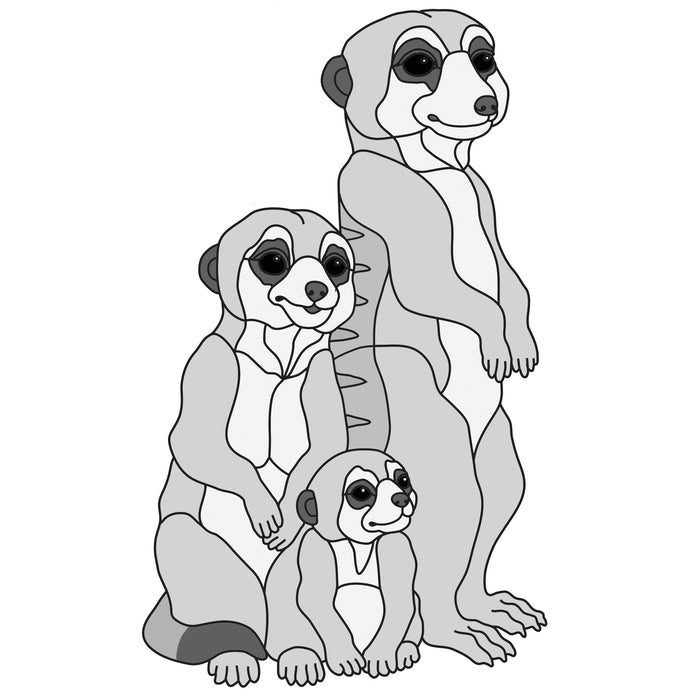 Meerkat