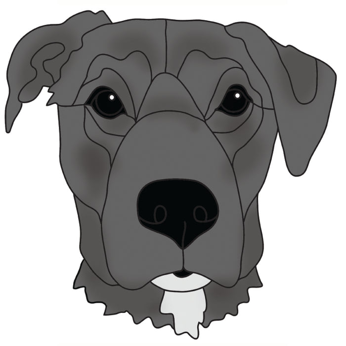 Labrador Head #3