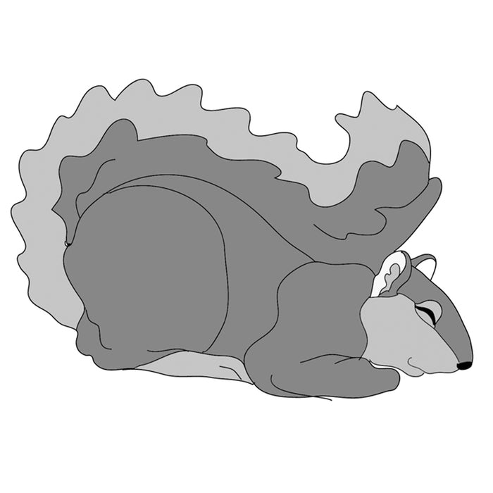 Squirrel sleeping