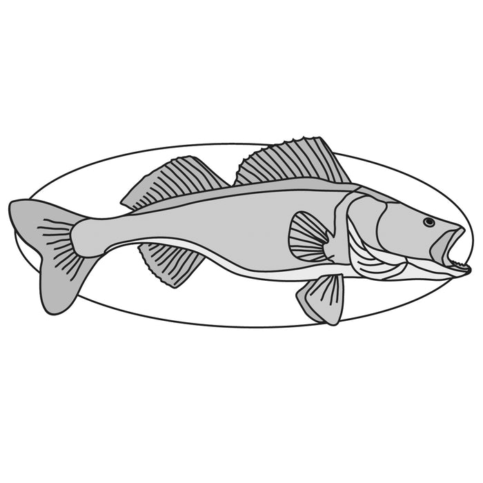 Walleye Fish