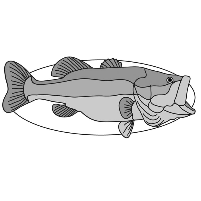 Largemouth Bass Fish