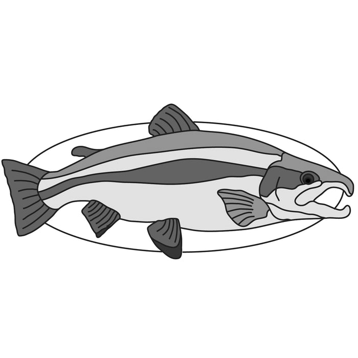 Rainbow Trout Fish