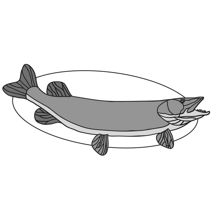 Pike Fish