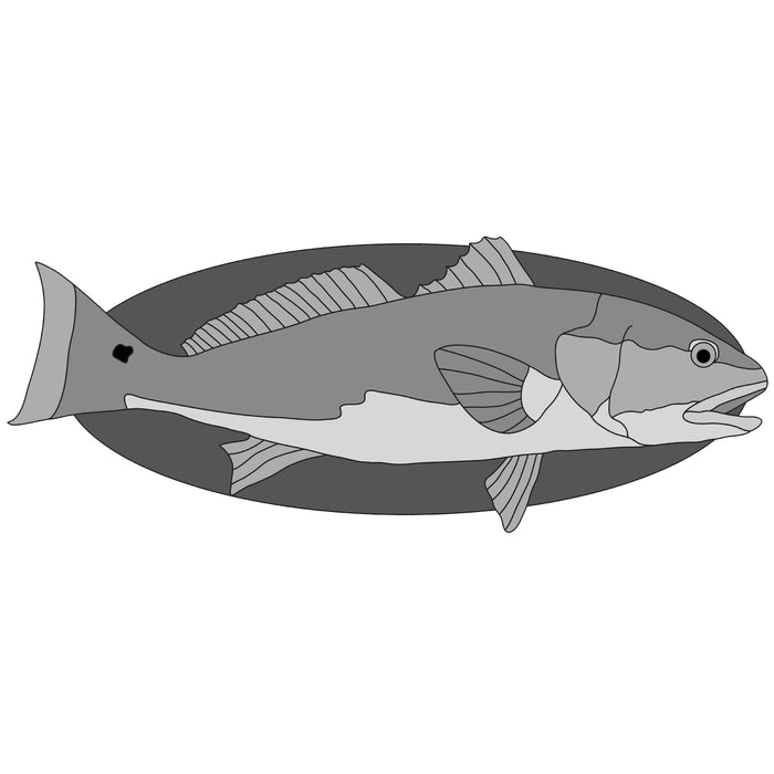 Red Fish
