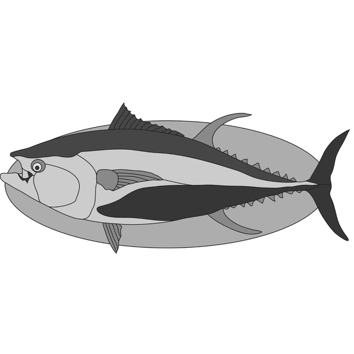 Blue Fin Tuna Fish