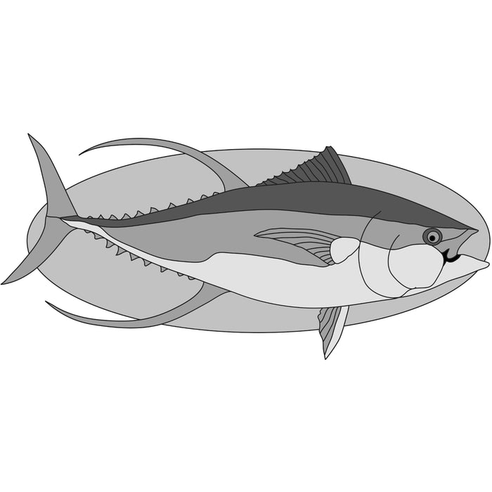 Yellow Fin Tuna Fish