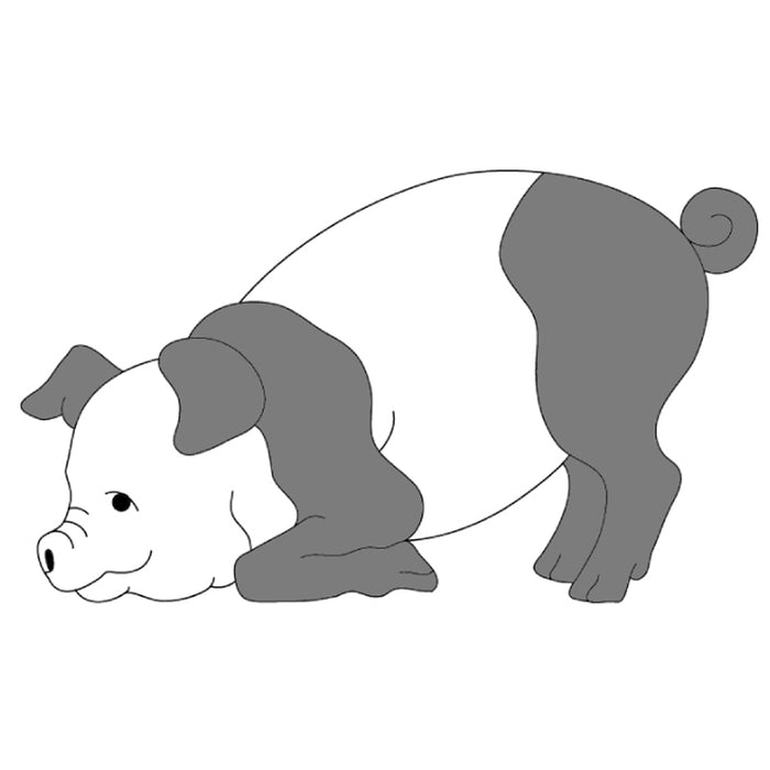 Beginner Pig