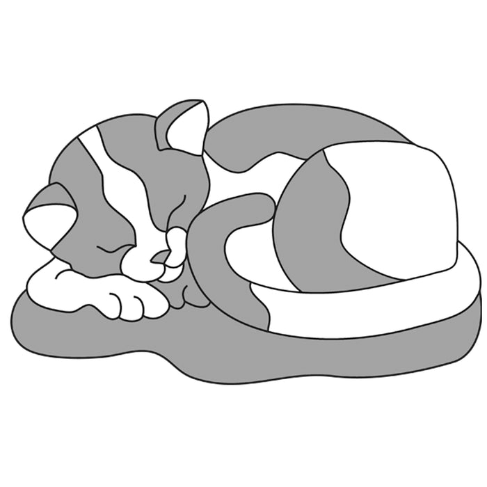 Beginner Cat