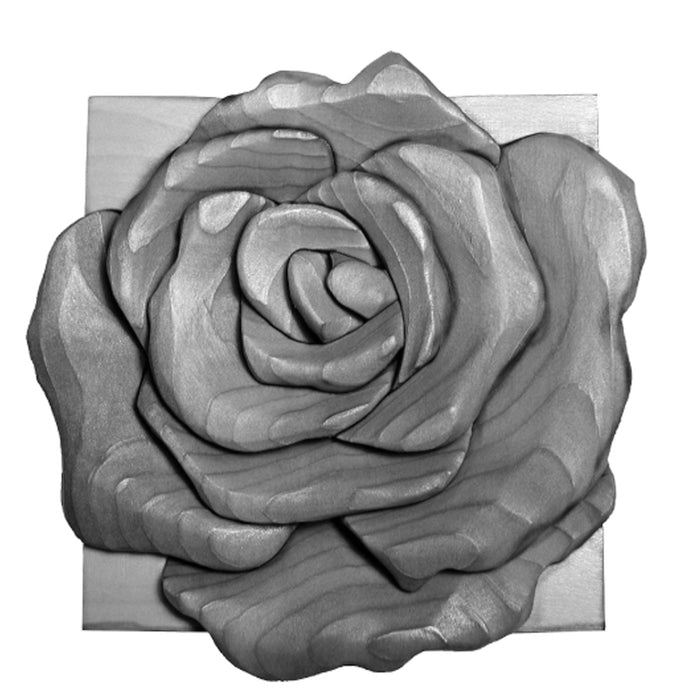Beginner Rose