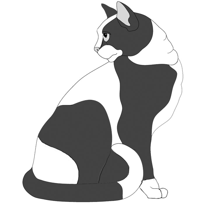 Beginner Sitting Cat