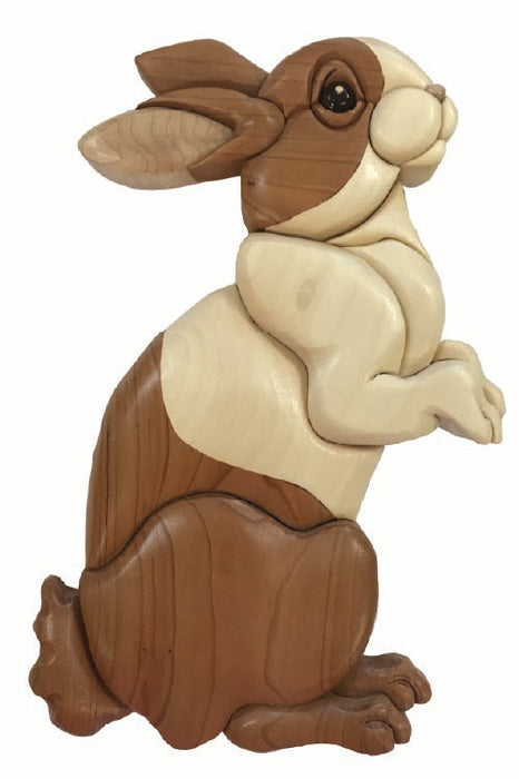 Beginner Bunny