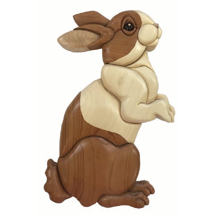 Beginner Bunny PDF Download only