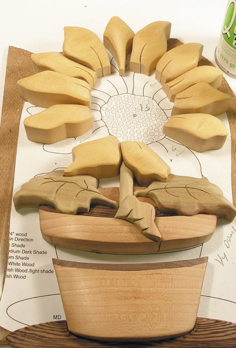 Intarsia Woodworking for Beginners Ebook