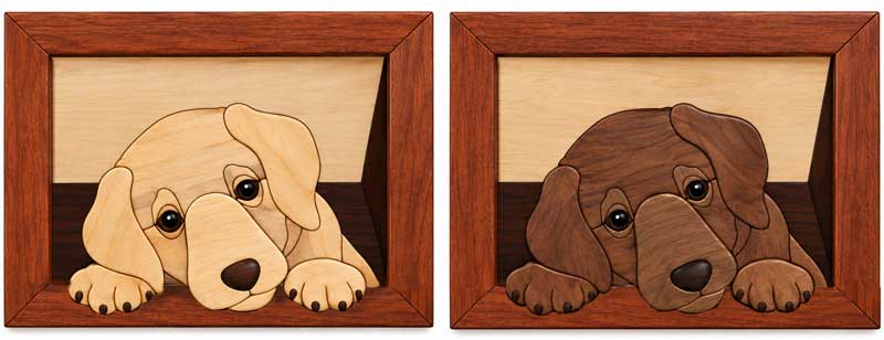 FREE Lab in Doggy Door