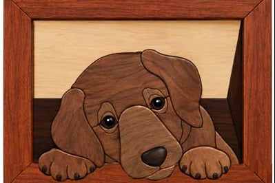 FREE Lab in Doggy Door