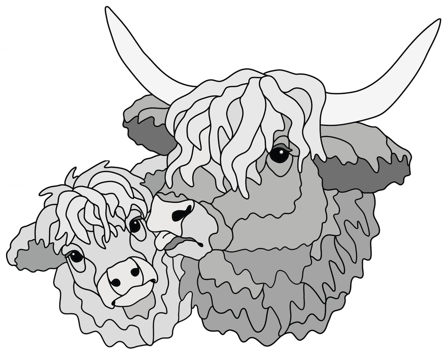 Scottish Highland Cow and Calf