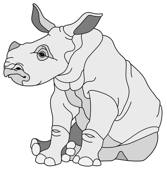 Rhino Baby