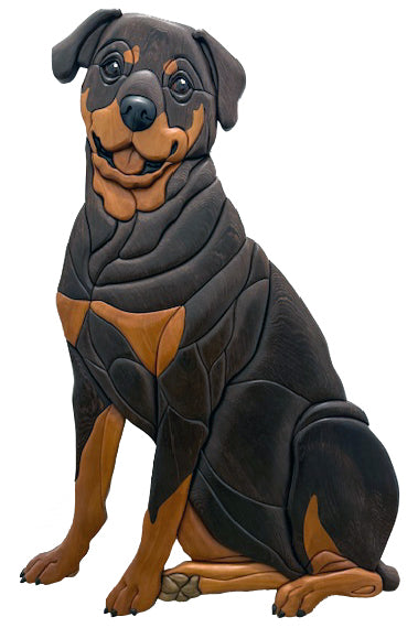 Life size Rottweiler Art Intarsia Piece