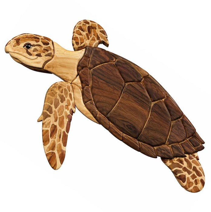 Sea Turtle