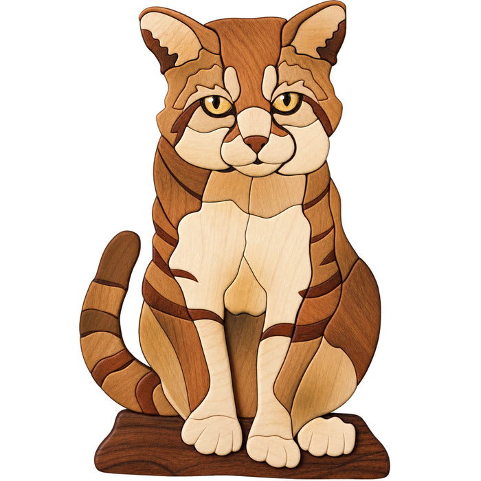 Wild Cat Sitting